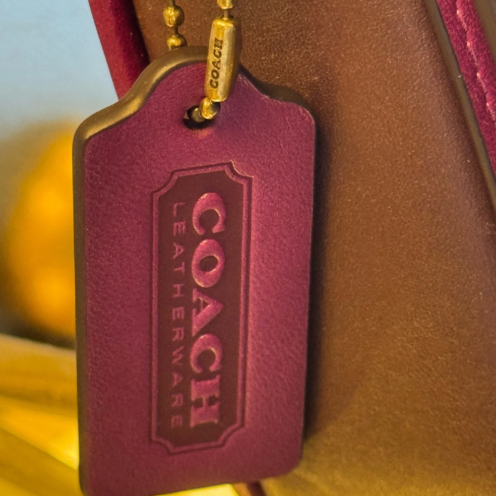 AUTHENTIC Coach Dinky Colorblock - Limited Edition GloveTanned Leather Bag - Picture 5 of 15